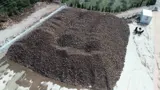 Grande cumulo di bauxite vicino agli impianti di vagliatura e alla strada di accesso