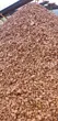 Alto cumulo di frammenti rossastri di bauxite vicino ai nastri trasportatori